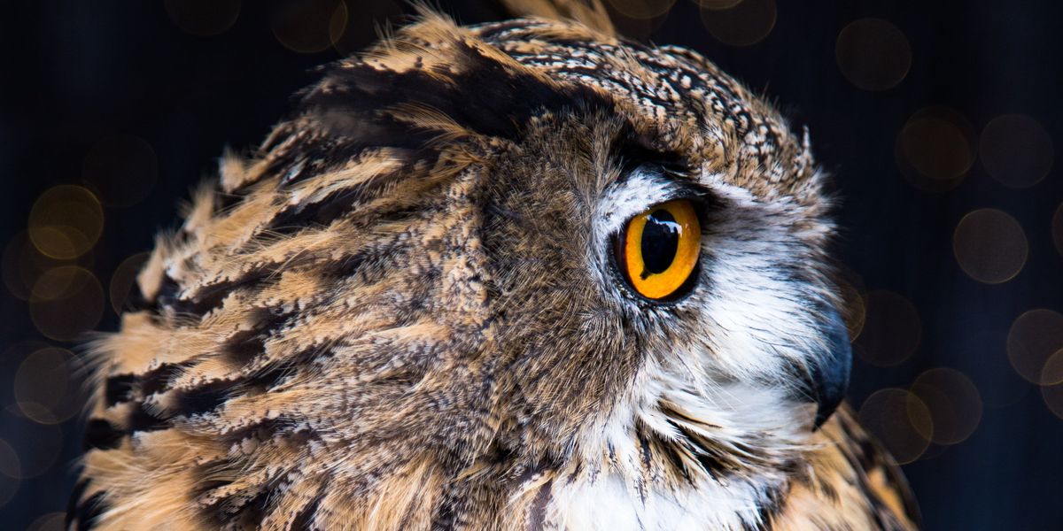Night Owls Break Down The Most Horrifying Thing They've Ever Seen While Up Late
