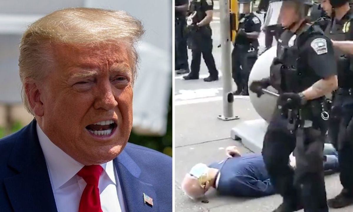 CNN Fact Checker Is at a Loss After Trump Tweets Conspiracy Theory About Buffalo Protester Who Was Pushed to the Ground