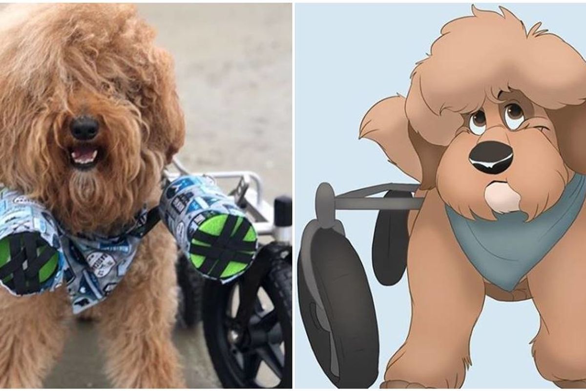 Brilliant artist 'Disneyfies' people's pets into Disney characters