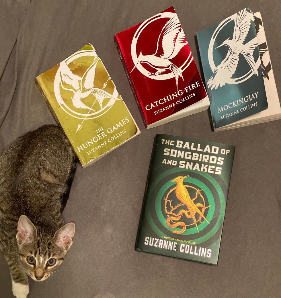 What I Learned By Re-reading "The Hunger Games"