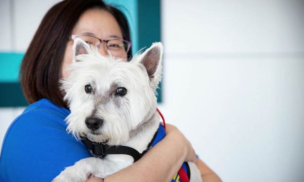 Feel A Lil' Better: Because Therapy Dogs Aren't Just Cute, They're Working