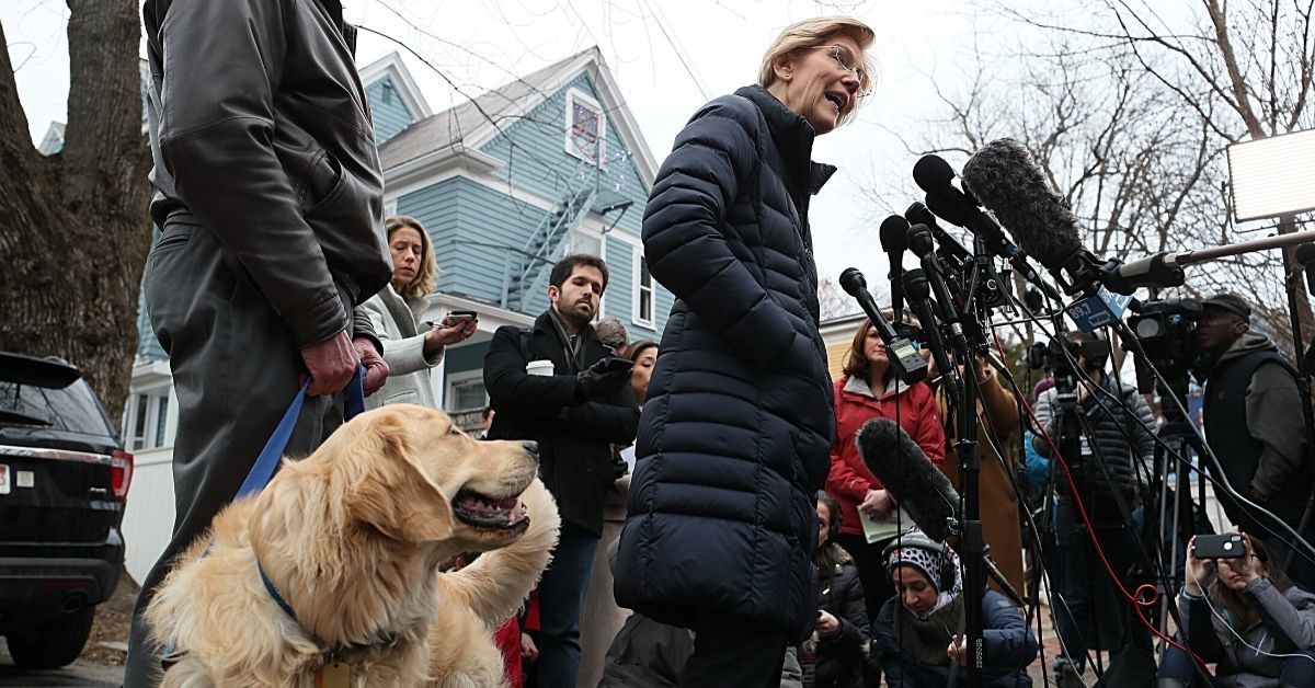 GOP Official Roasted After Accusing Elizabeth Warren Of 'Endorsing Voter Fraud' Over A Joke About Her Dog