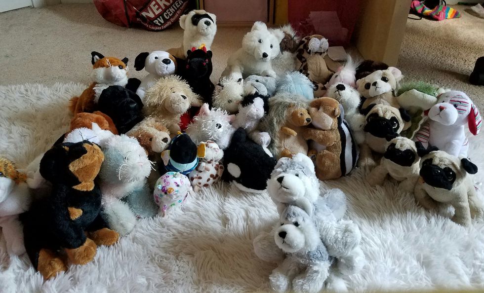 zodiac webkinz