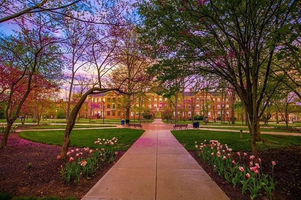 10 Things Incoming Freshmen Can't Learn About Miami University On A Zoom Call This Fall