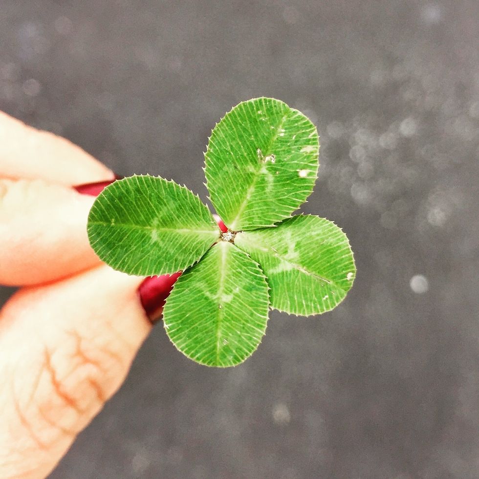 15 Things You Didn't Know About Four-Leaf Clovers
