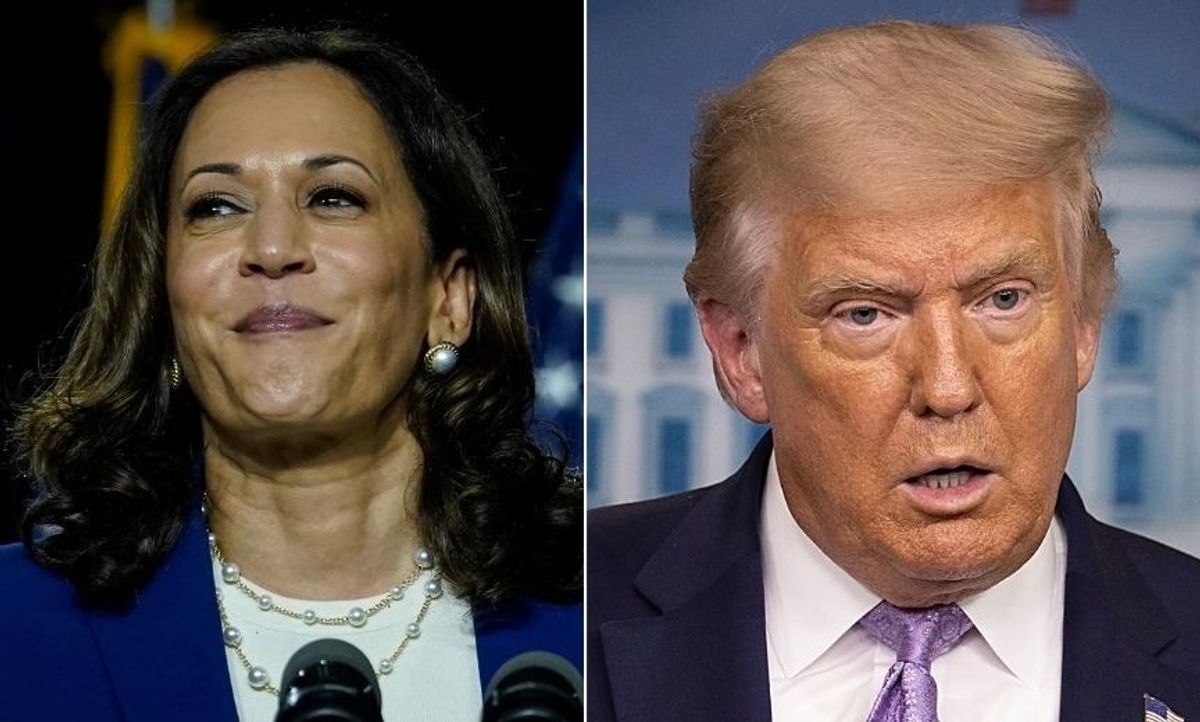 Trump Slammed After Repeating Unfounded 'Birther' Claim About Kamala Harris' Eligibility to Be Vice President