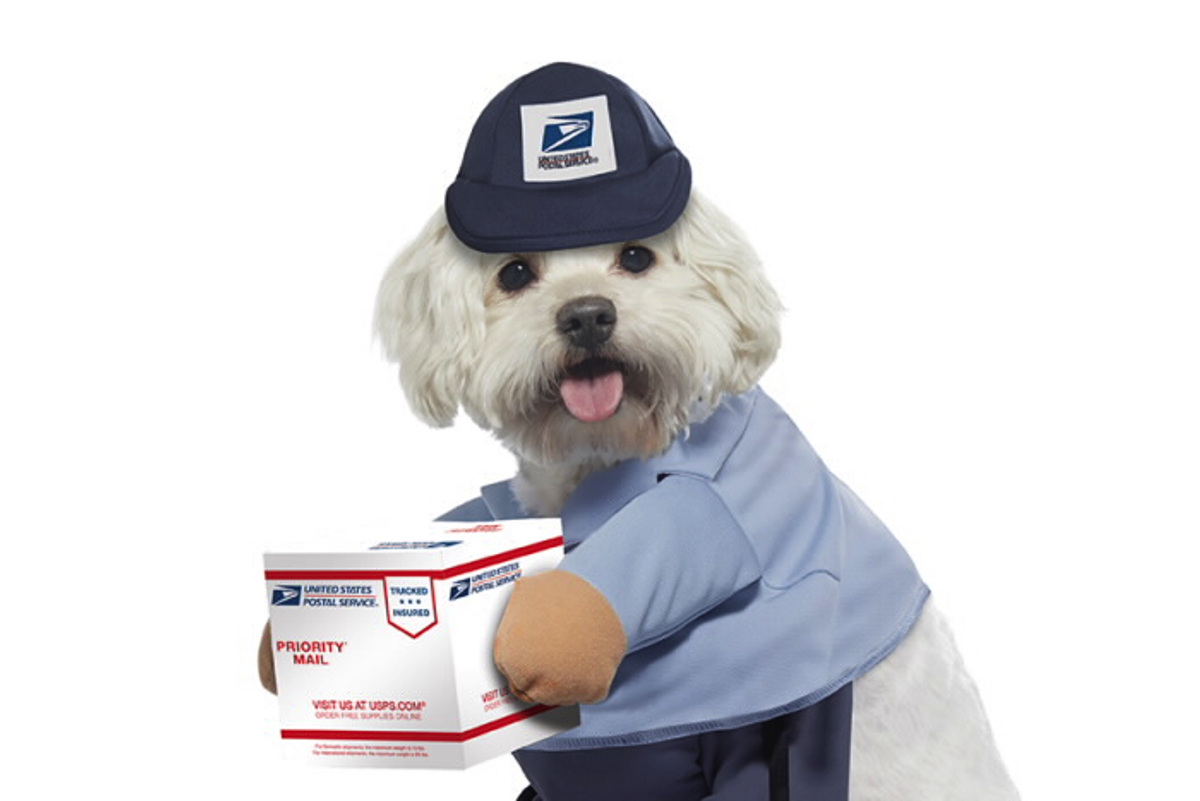 United States Post Office Dog Merch