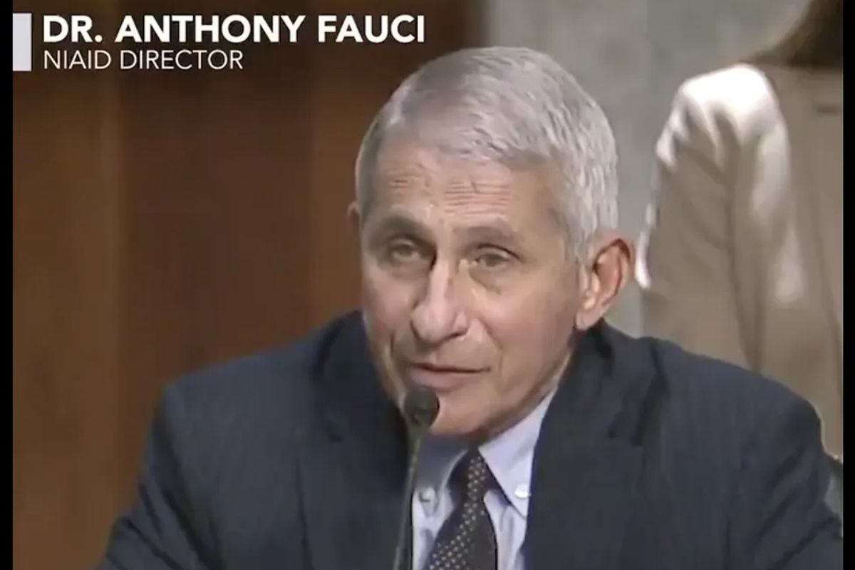 CDC Changed Testing Guidelines Over Dr. Fauci's Dead Body (Don't Worry, He Got Better)