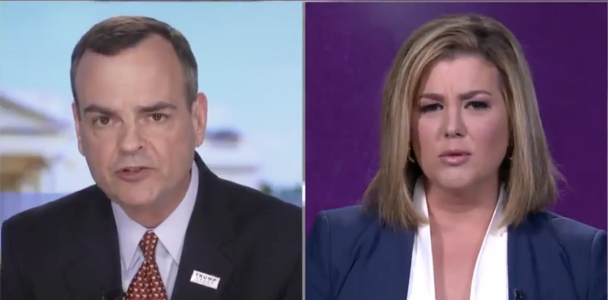 CNN Anchor Slams Trump Spokesman for 'Lying', Cuts Off Interview After Bizarre Hydroxychloroquine Rant