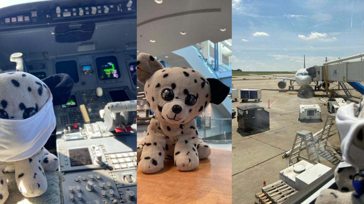 Staff at Cincinnati airport do the absolute most to reunite lost stuffed dog with Florida boy
