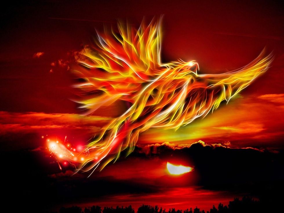 Fiery phoenix bird