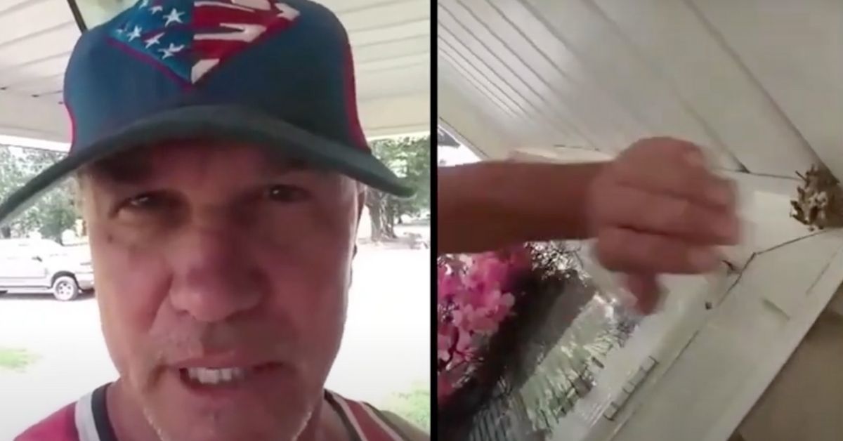 Guy Calmly Crushes Wasp Nest With His Bare Hand, Then Shoves It In His Mouth In Bonkers Video