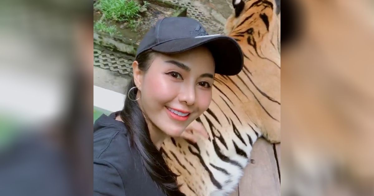 Tourist Slammed For Grabbing Tiger By His Testicles While Posing For Brazen Selfies At Zoo