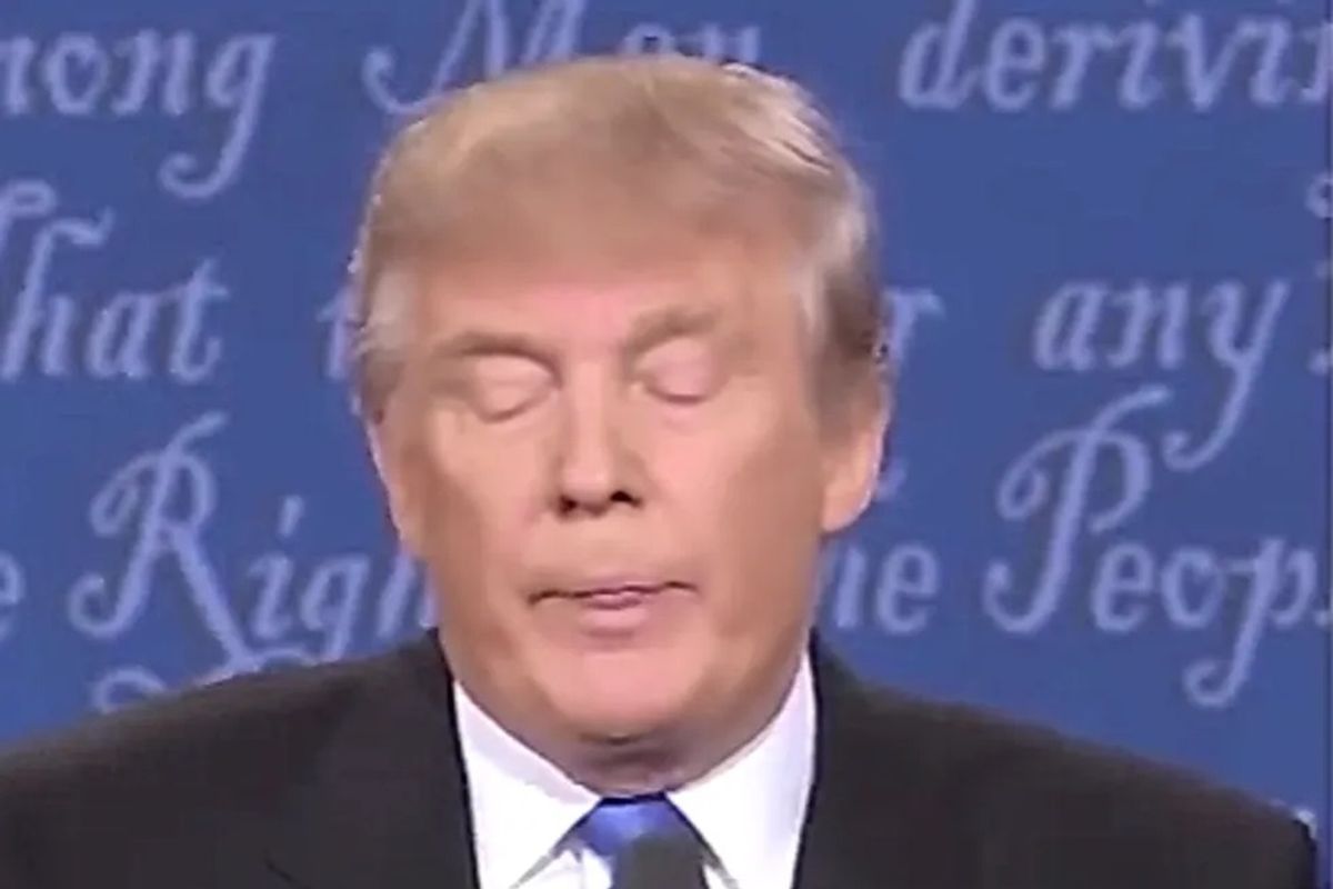 Donald Trump Never Said 'Vote Twice,' He Said 'Boat Mice'