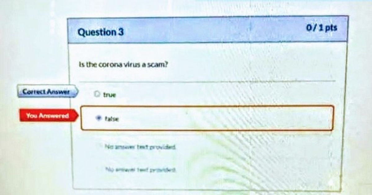 Parents Outraged After Texas School's Science Exam Calls Virus A 'Scam' In True Or False Question