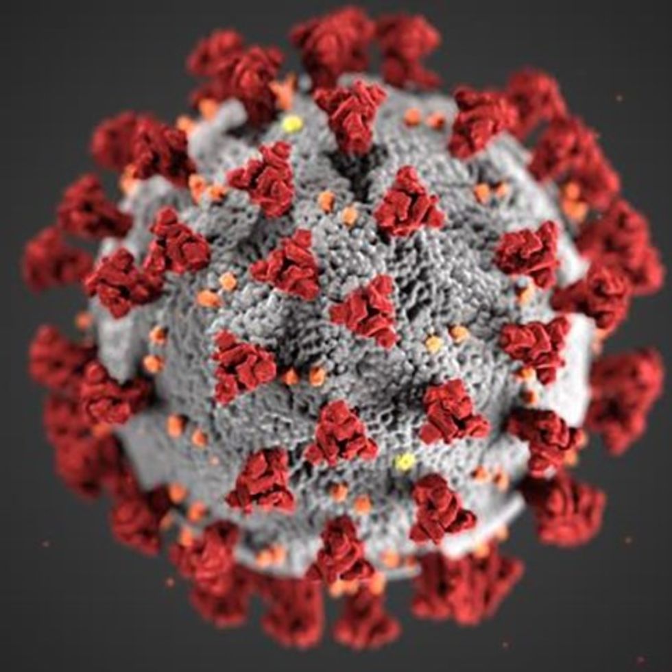 What I Learned In The Year 2020: Coronavirus Edition