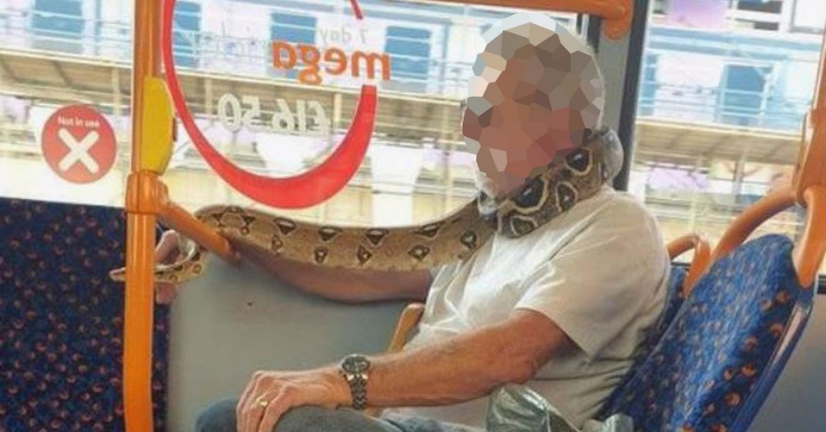Authorities Speak Out After Man 'Uses Snake As A Face Mask' While Riding On A Bus