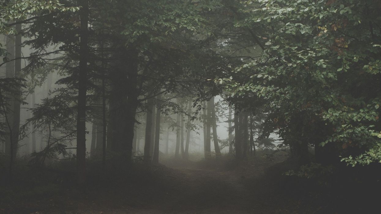 You can watch horror movies in the woods at night this October in South Carolina