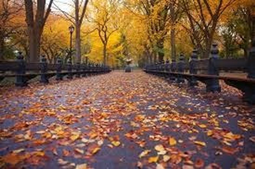 Movies with Autumnal Vibes