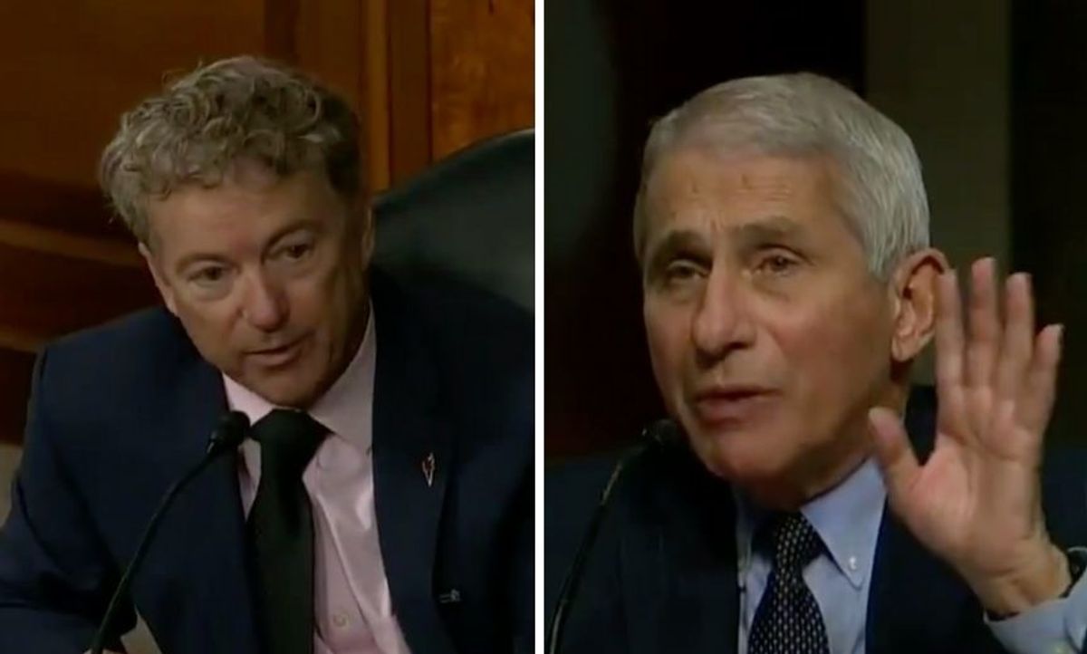 Dr. Fauci Just Destroyed Rand Paul After He Cited a Bonkers Theory to Explain NYC's Low Infection Rate