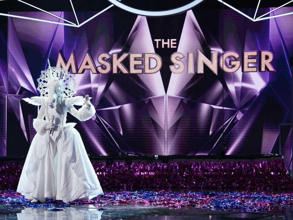 Did you Unmask the Singer?