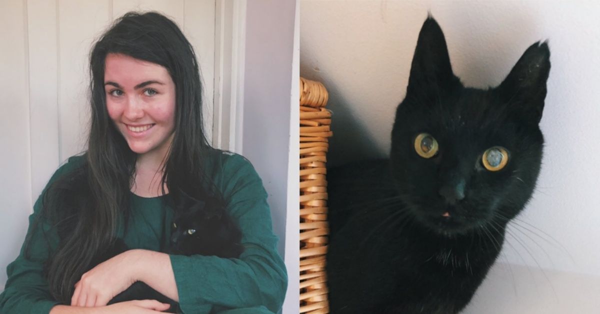 Owners Praise 'Miracle' Return Of Their Beloved Cat After He Went Missing For Eight Years
