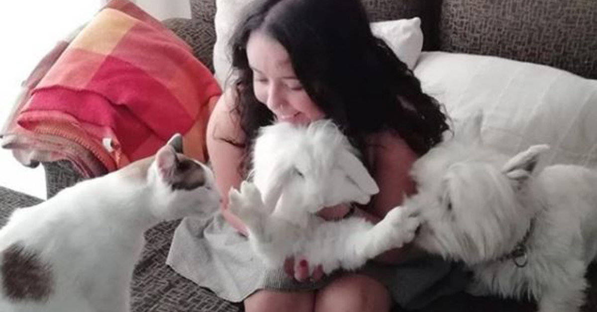 Student Opens Up About Her Trio Of Pets Who Have Become The Unlikeliest Of Four-Legged Friends