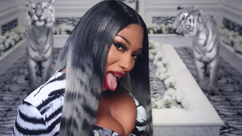 Megan Thee Stallion Explains Why Having A Plan B Was Never An Option For Her​