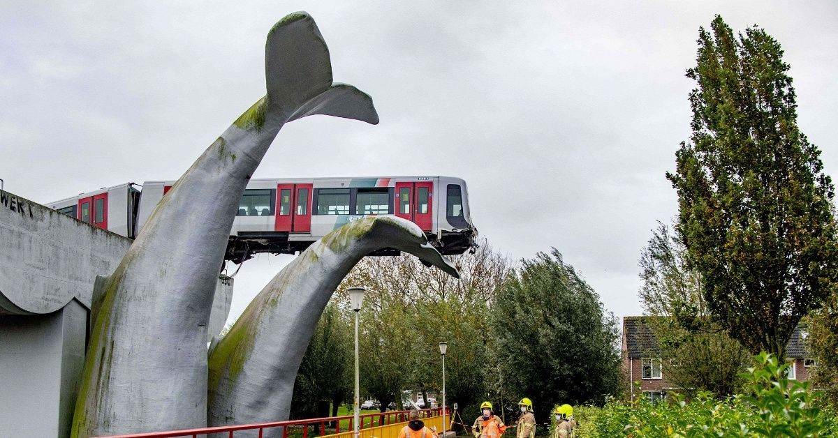 Sculpture Of A Whale's Tail Miraculously Saves Dutch Train From Plummeting Off Elevated Tracks
