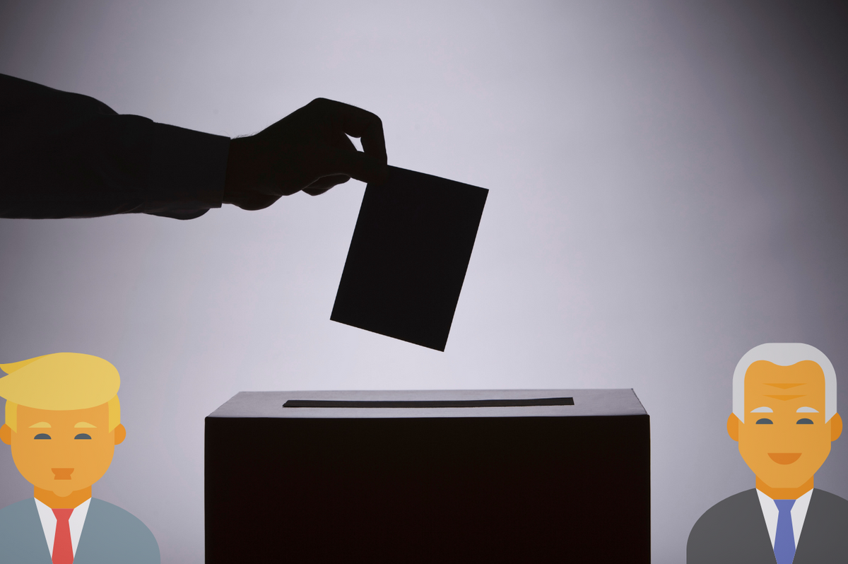 2020 Presidential Election