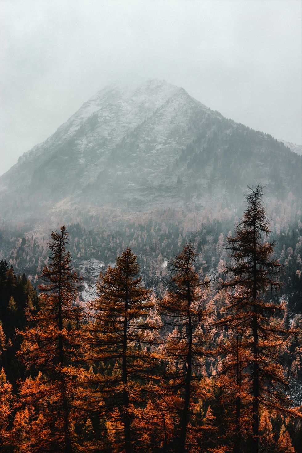 10 Songs You Need On Your Fall Playlist