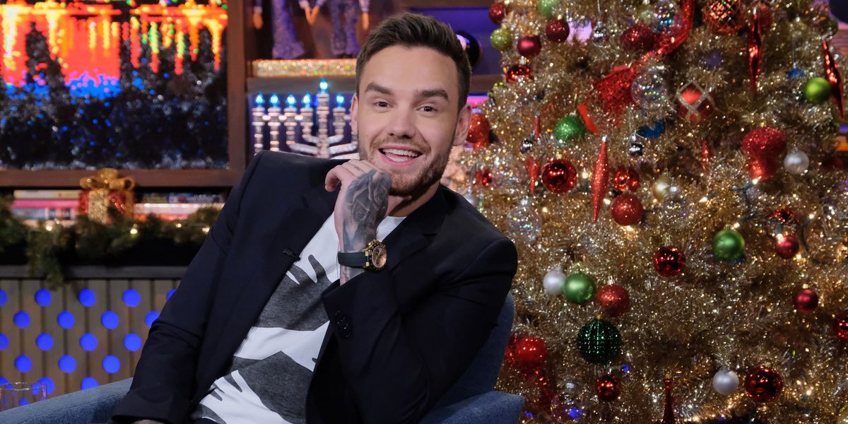 Is Dixie D'Amelio Featured on Liam Payne's Christmas Song?
