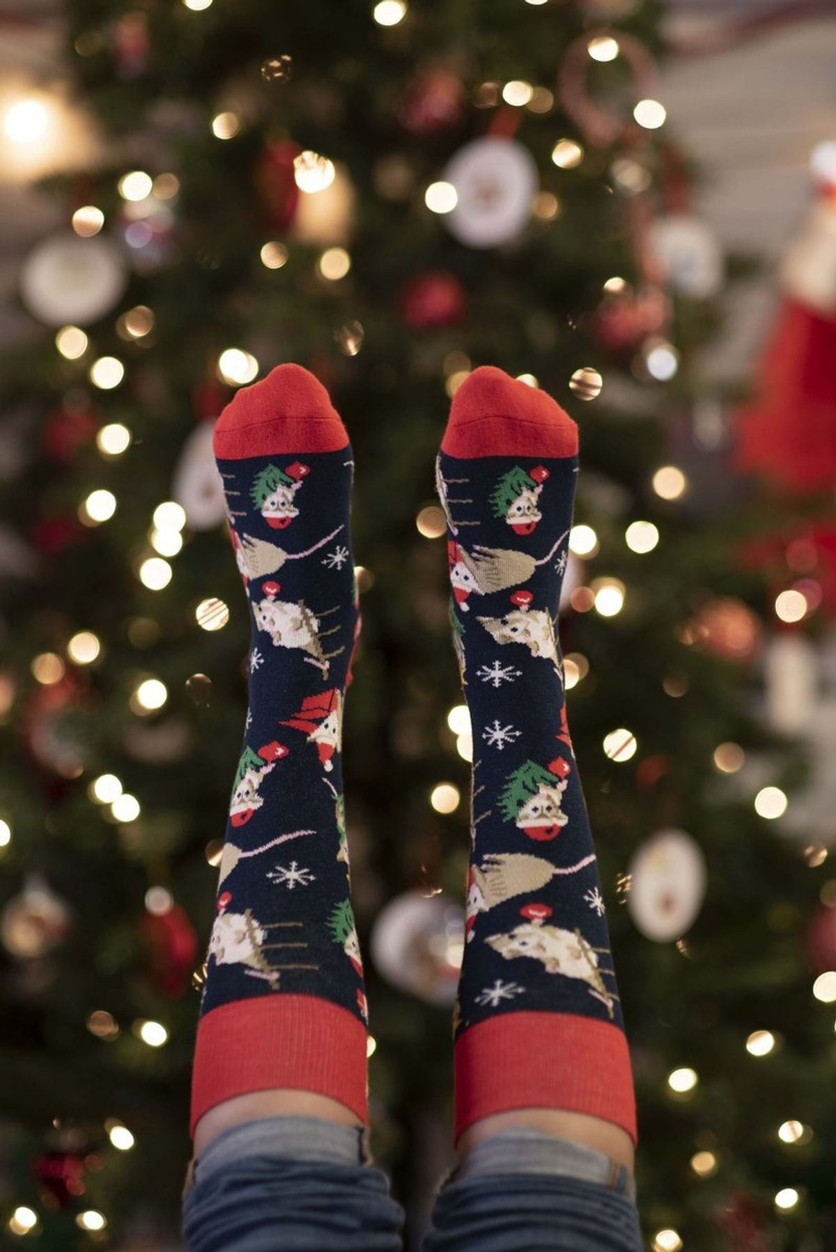 'Possum Christmas' socks - It's a Southern Thing