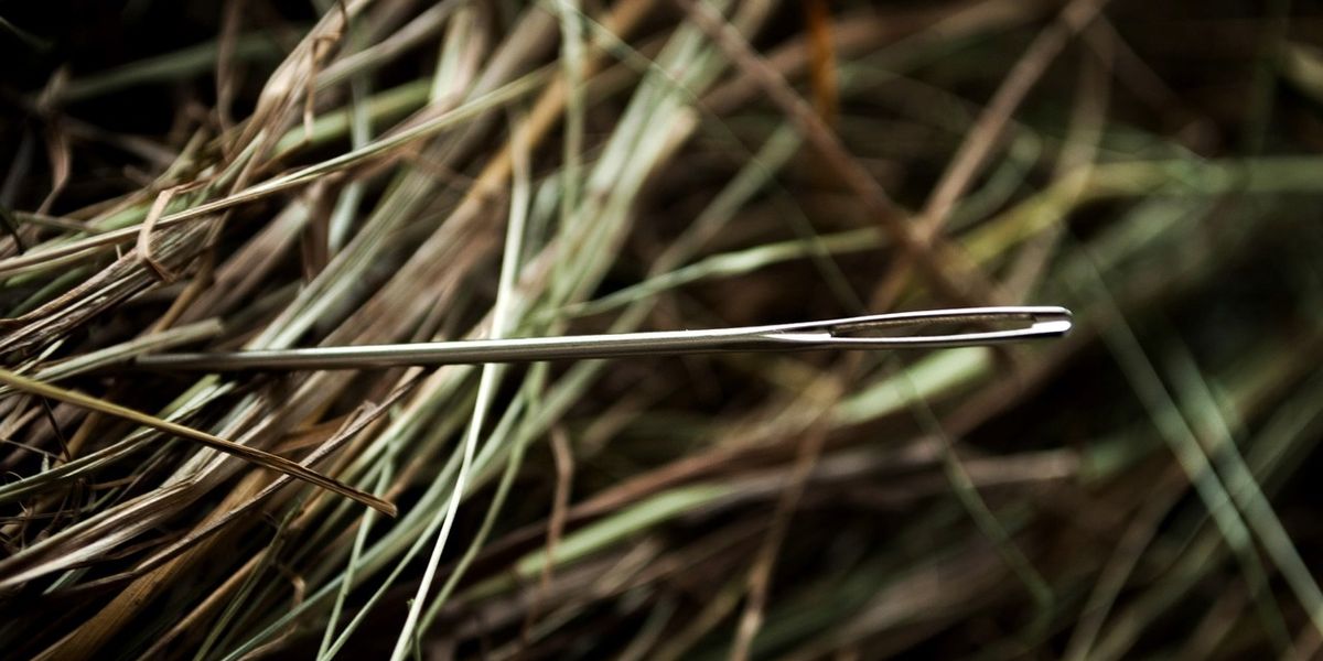 People Share Their Best 'I Found The Needle In A Haystack' Moments