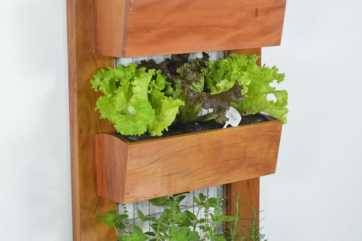 A vertical garden is the gift that keeps on giving
