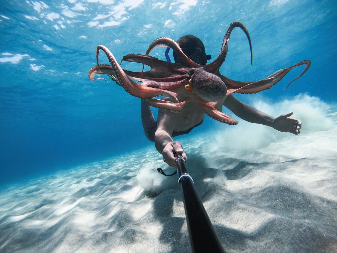 GoPro Labs drops new abilities like motion triggers and more Gearbrain