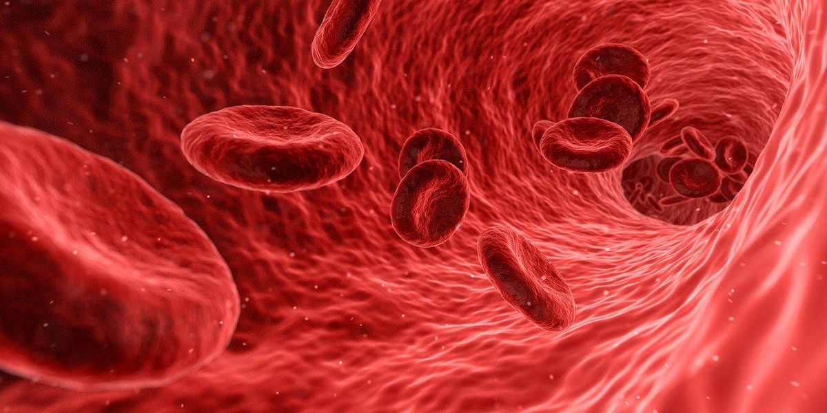 Doctors Share The Weirdest Facts About The Human Body