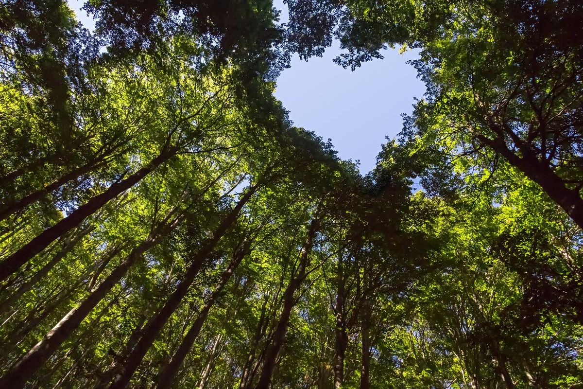 La caccia al selvatico che alimenta l’ispirazione poetica
