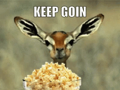Fox News All 'Shut Up, CNN! Trump Had SH*TTY Covid Vax Plan, Not NO Covid Vax Plan!'