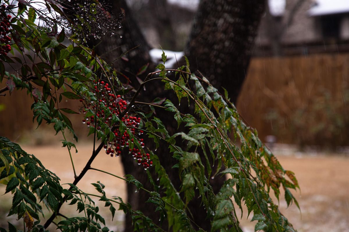 Winter storm warning in effect for Central Texas