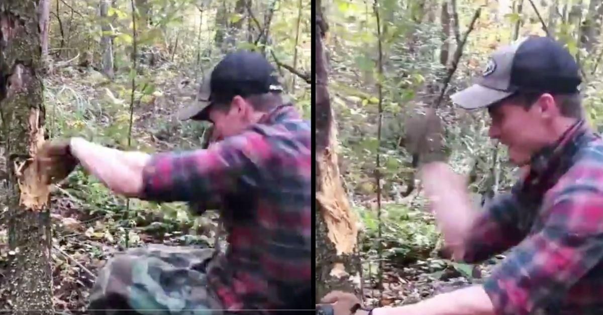 GOP Rep. Madison Cawthorn Dragged For Beating Up A Tree In Bizarre Resurfaced Video