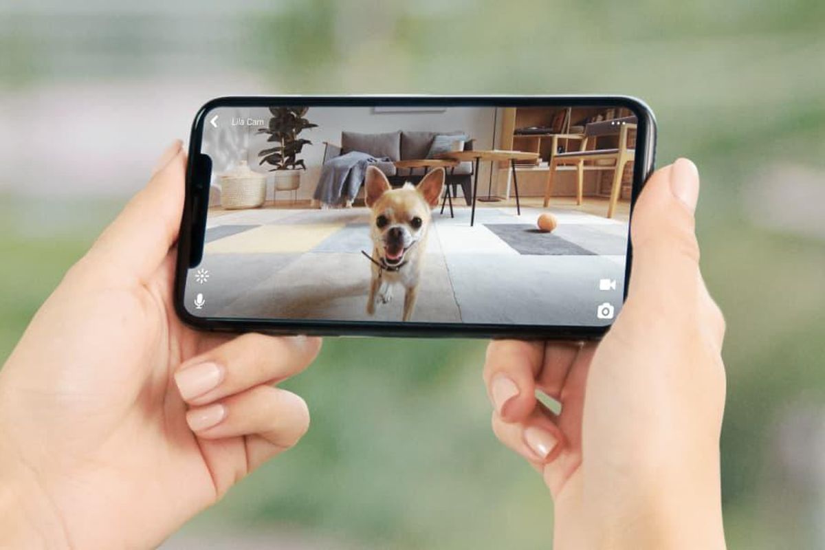 Petcube Play 2