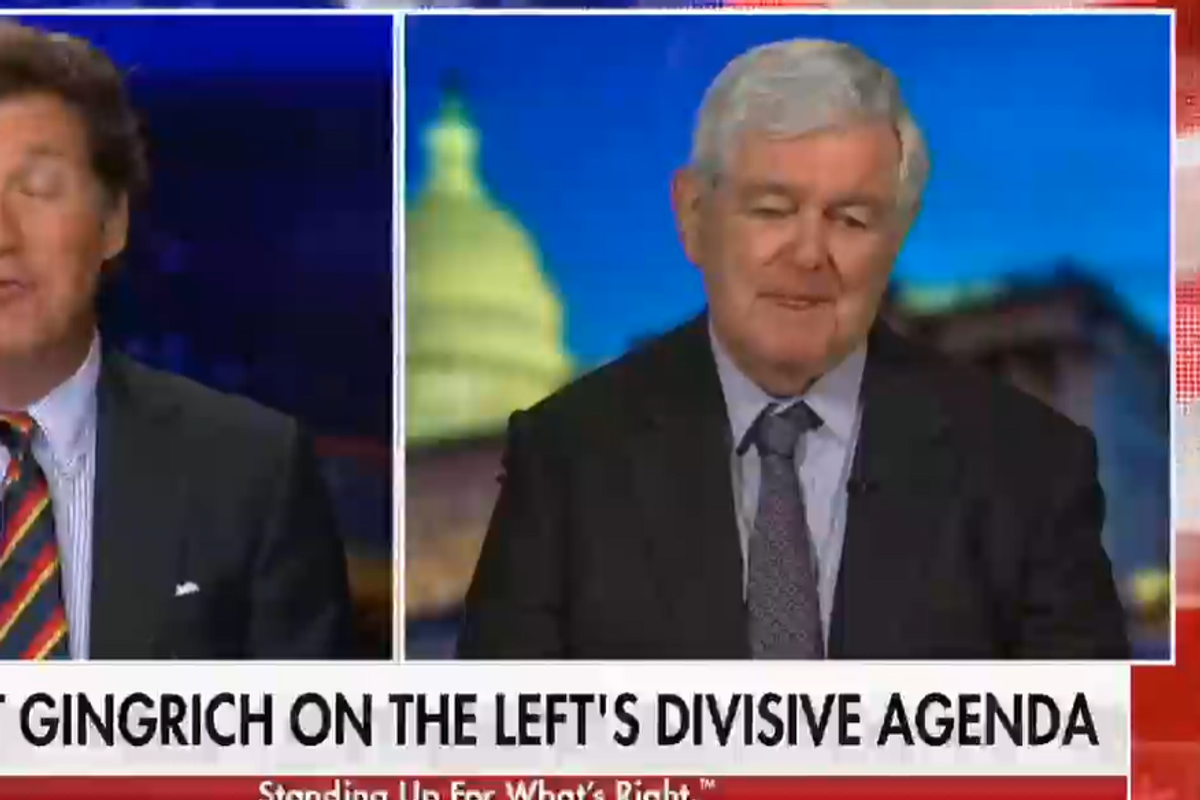 Newt Gingrich Mad About Transgenders Dominating Dr. Seuss Or Something, We Don't Know