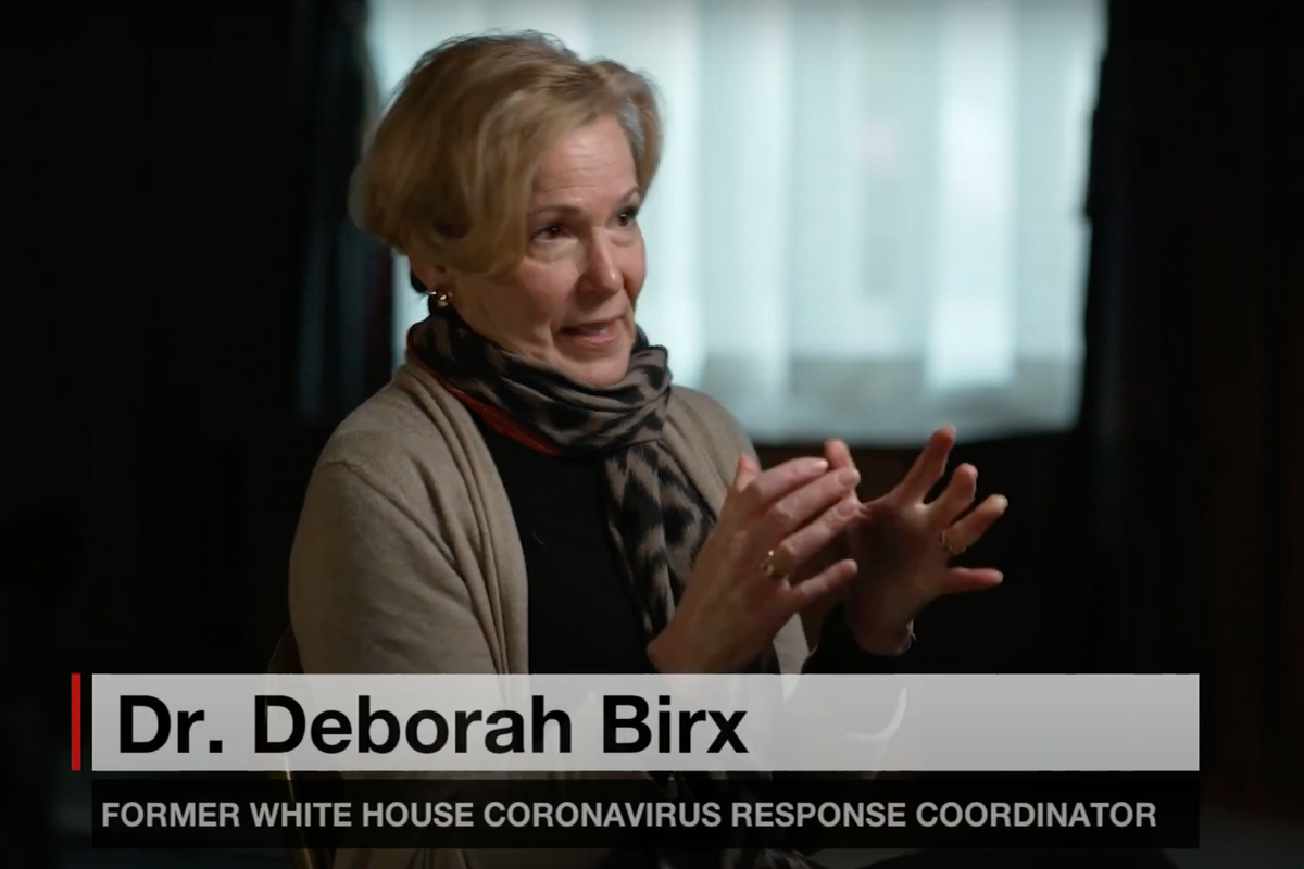 Trump Had Perfect Call With Dr. Birx Last Year About COVID-19. It Was Creepy.