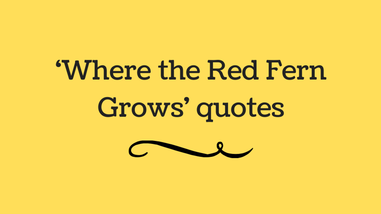 7 'Where the Red Fern Grows' quotes we love
