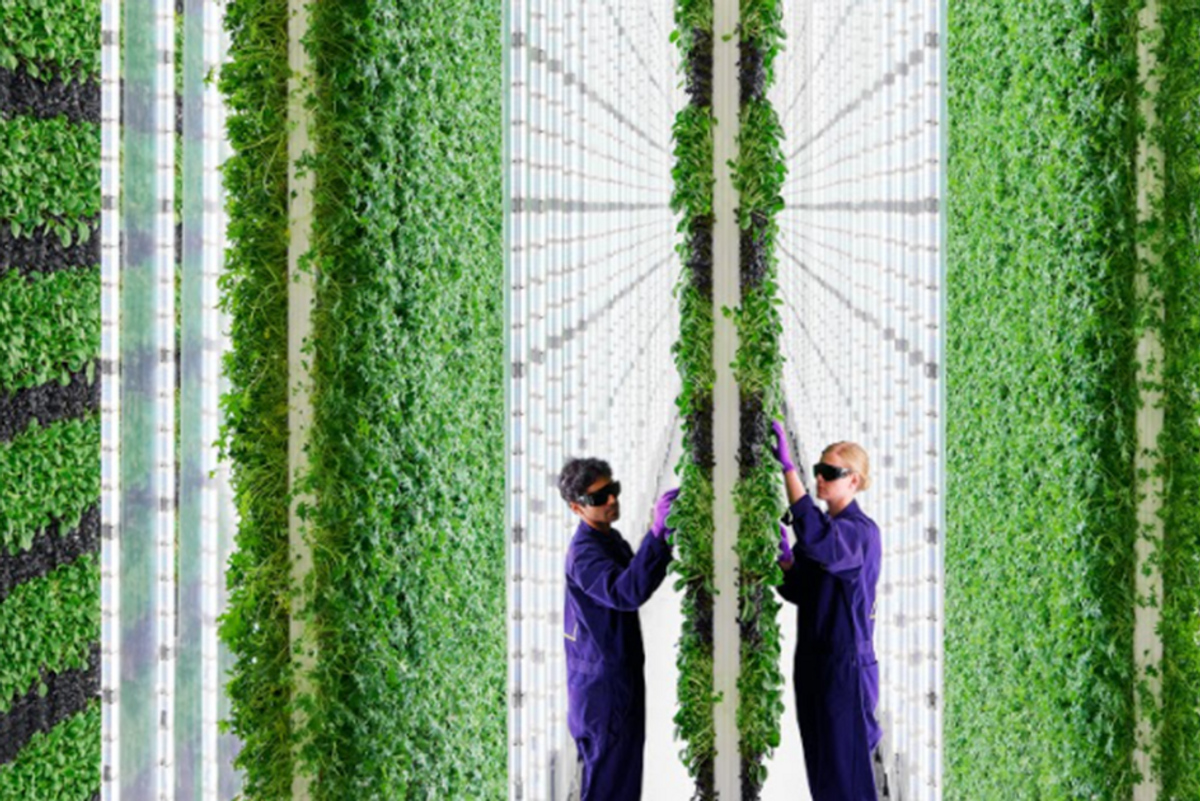 Check out this futuristic, organic vertical farm being built in Compton, California