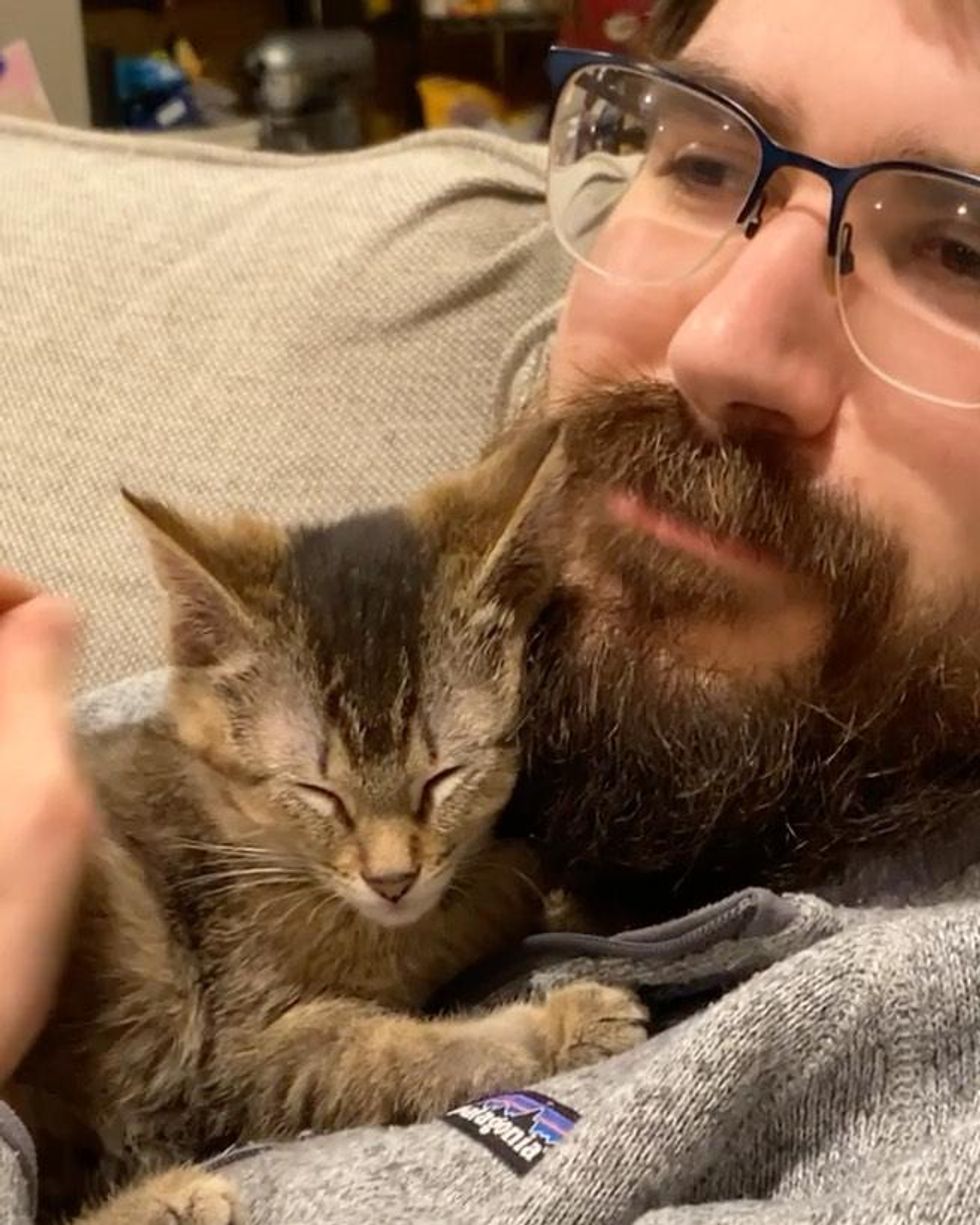 Kitten that Hops Like a Bunny, Turns into the Happiest Cat with Endearing Personality Love Meow