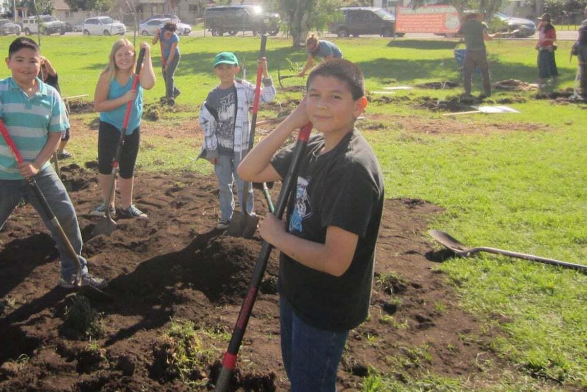 The critical need for ecoliteracy during Earth Month and beyond