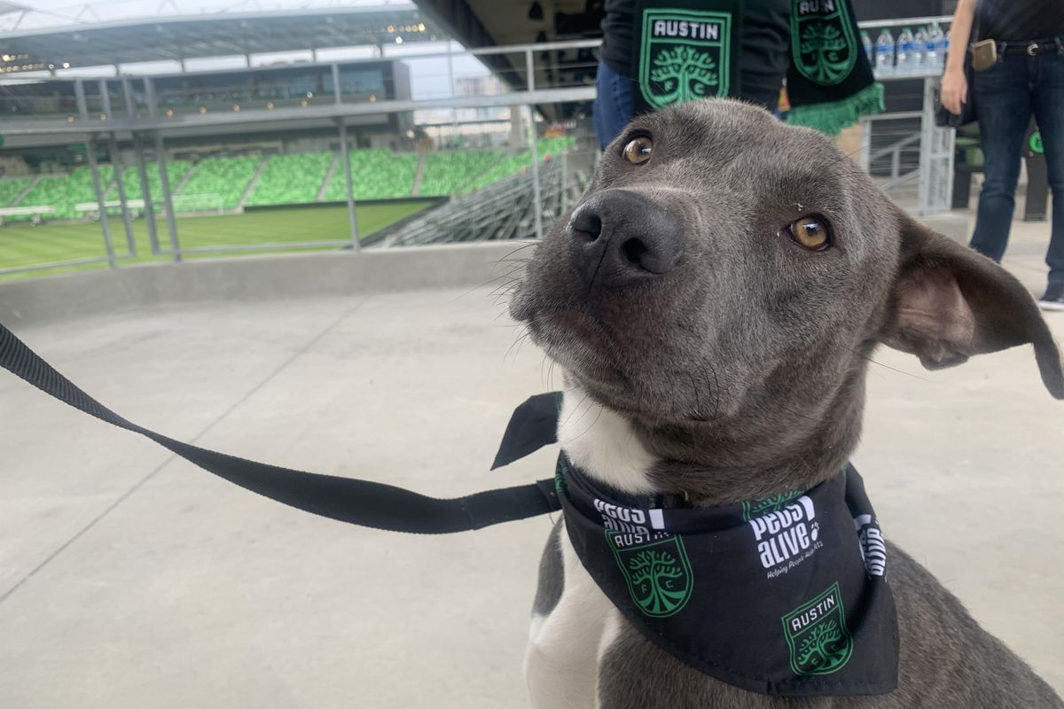 Austin FC announces untraditional team mascot