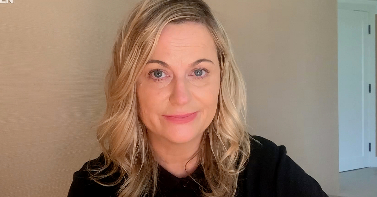 Sorry Everyone, That Story About The Amy Poehler-Lookalike Stripper 'Squirting' At Police Isn't True